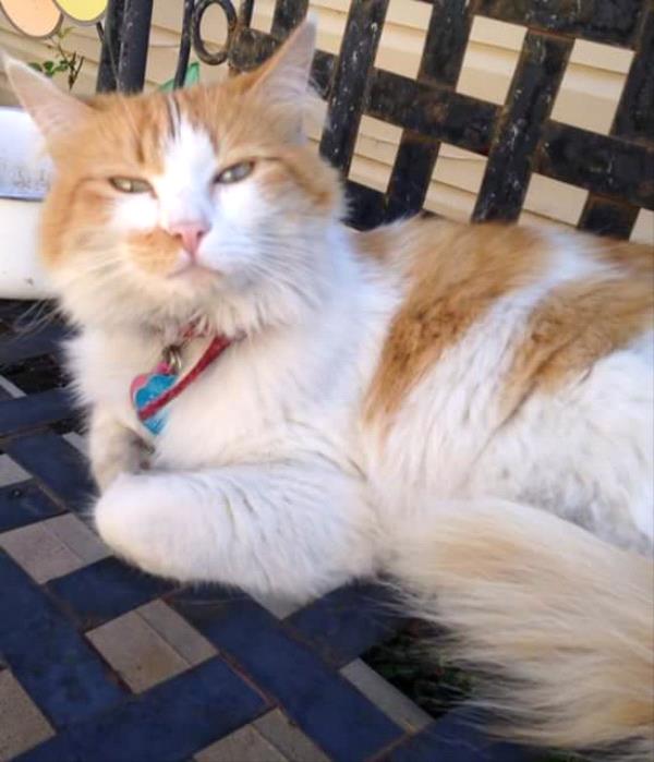 /Images/uploads/Humane Society of Utah/HSUCalendar/entries/1219thumb.jpg